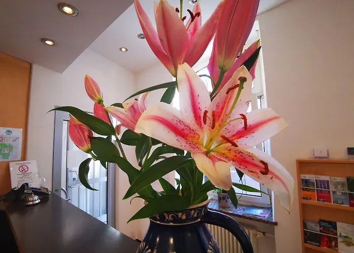 Auberge de jeunesse City Hostel *