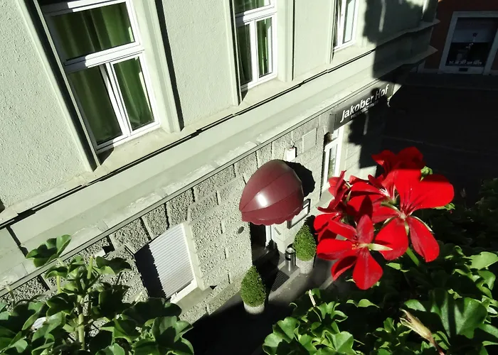 Auberge de jeunesse City Hostel *